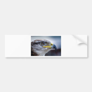Eagle Bumpersticker
