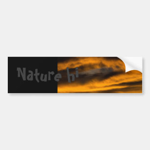 eagle burnout bumpersticker