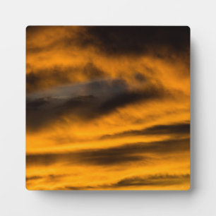 eagle burnout fotoplaat