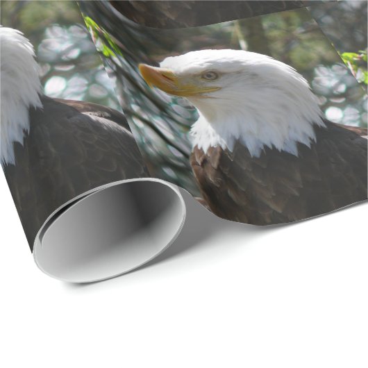 Eagle Cadeaupapier (Rol Hoek)