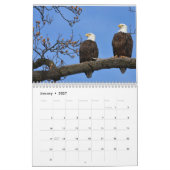 Eagle Calendar Kalender (Jan 2027)