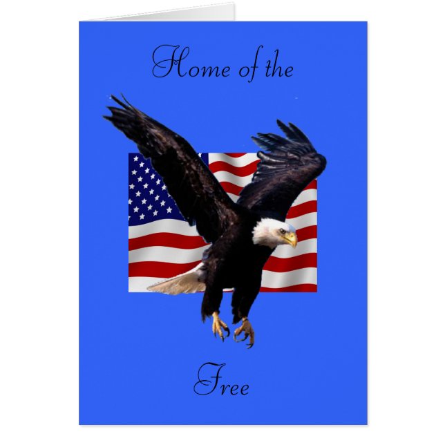 Eagle chauve (Devant)