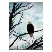 Eagle chauve dans un arbre avec le ciel bleu et (Devant)