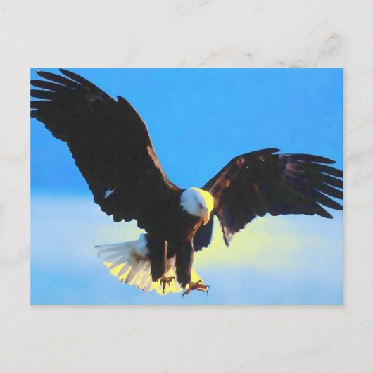 Eagle chauve débarquant la carte postale (Devant)
