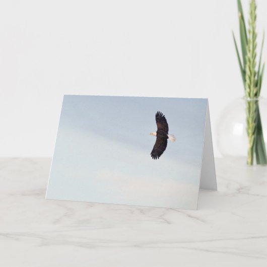 Eagle chauve pilotant la carte (Devant)