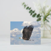 Eagle dans la carte postale Sky (Debout devant)