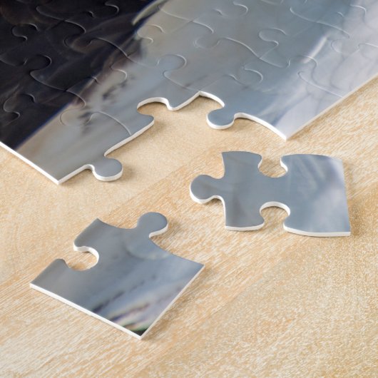 Eagle de mer Stellaire puzzle (Côté)