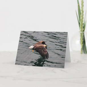 Eagle die met uit vleugels vliegen kaart