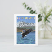 Eagle DivingColorado Briefkaart (Staand voorkant)