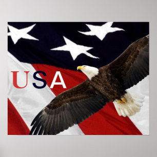 Eagle en American Flag USA Poster