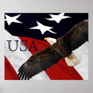 Eagle en Amerikaanse vlag Poster