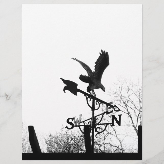 Eagle en Arrow (Voorkant)