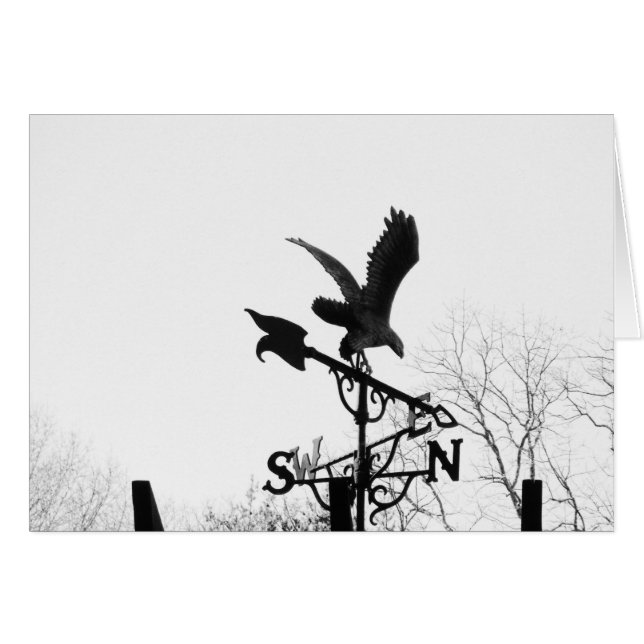 Eagle en Arrow (Voorkant Horizontaal)