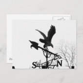 Eagle en Arrow Briefkaart (Voorkant / Achterkant)