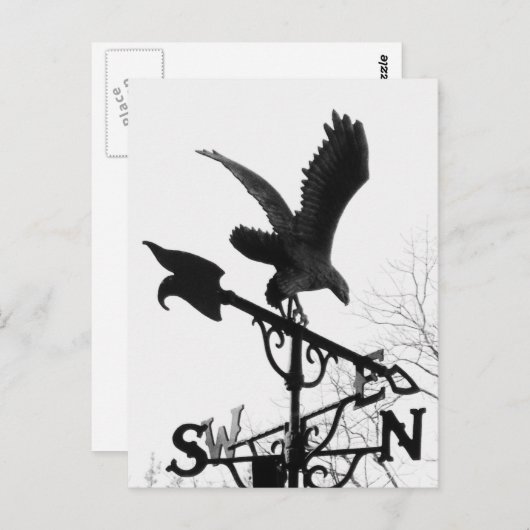 Eagle en Arrow Briefkaart (Voorkant / Achterkant)