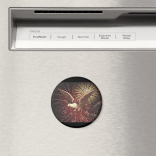 Eagle en Fireworks Magneet