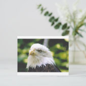 Eagle Eye Briefkaart (Staand voorkant)