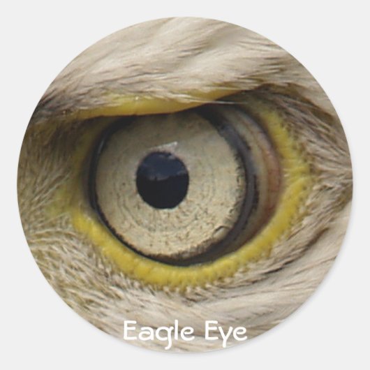 Eagle Eye Gifts Ronde Sticker (Voorkant)