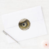 Eagle Eye Gifts Ronde Sticker (Envelop)