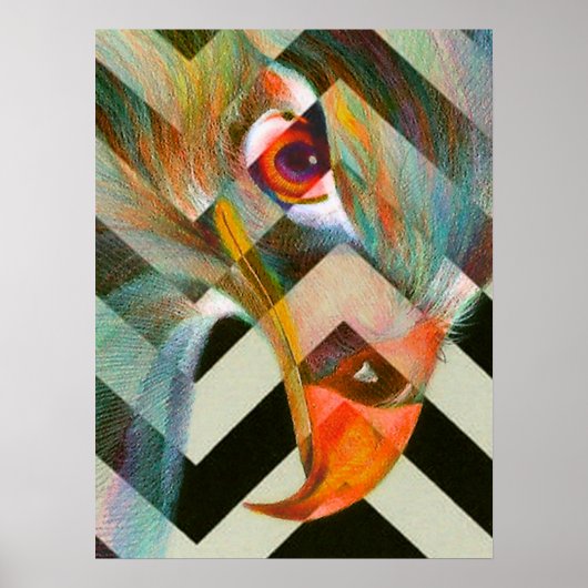 Eagle Eye Poster (Voorkant)