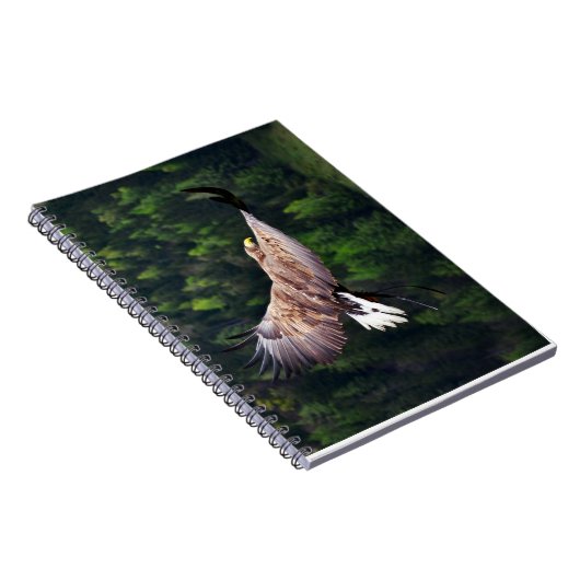 Eagle Eye Uitzicht Notitieboek (Rechterzijde)