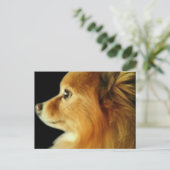 Eagle Eyed Pomeranian Briefkaart (Staand voorkant)