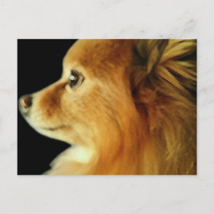 Eagle Eyed Pomeranian Briefkaart