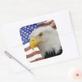 Eagle flag sticker (Envelop)