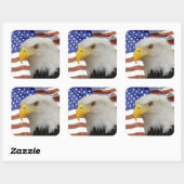 Eagle flag sticker (Vel)