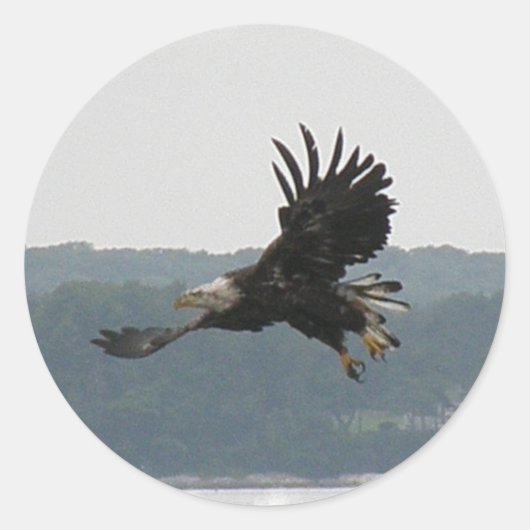 Eagle Flight Sticker (Voorkant)