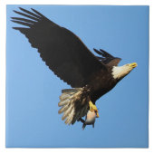 Eagle Flight Tegeltje (Voorkant)