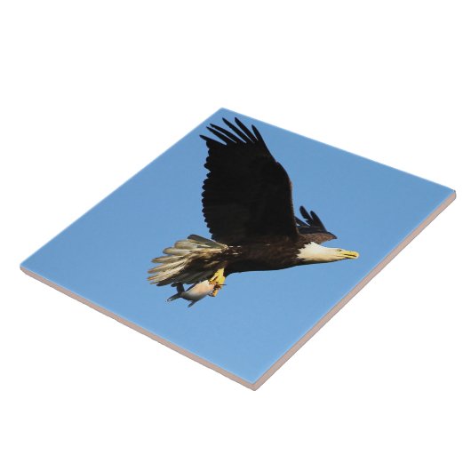 Eagle Flight Tegeltje (Zijkant)