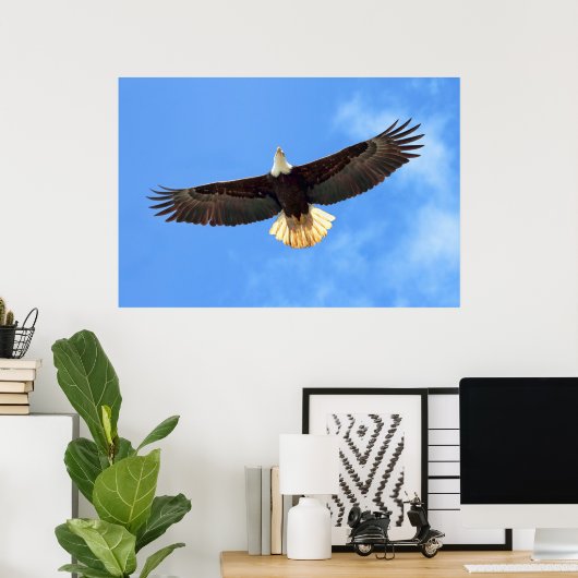Eagle Flying Poster (Thuiskantoor)