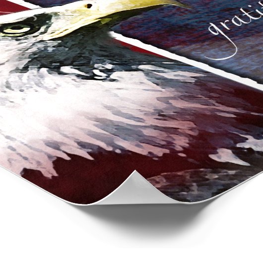 Eagle Freedom Poster (Hoek)
