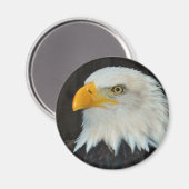 Eagle Head Magnet Magneet (Voorkant / Achterkant)