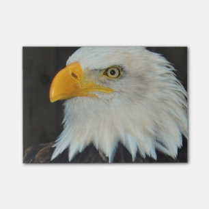 Eagle Head Post-it® Notes