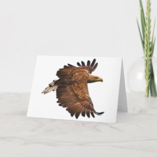 Eagle in Flight Wenskaart Kaart