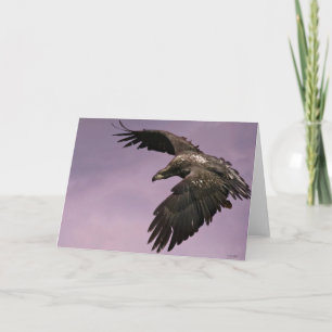 Eagle in Flight Wenskaart Kaart