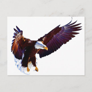 Eagle in vlucht briefkaart