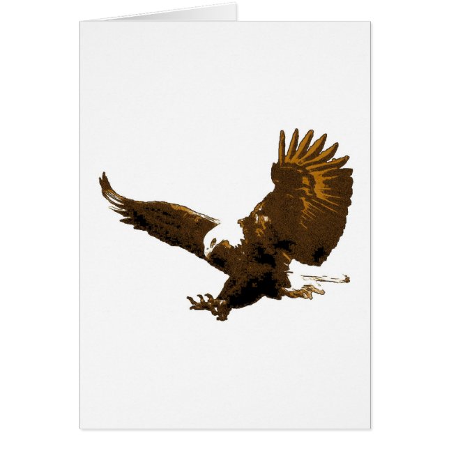 Eagle Landing (Voorkant)