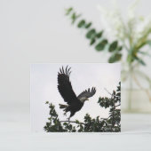 Eagle Lift Off Briefkaart (Staand voorkant)