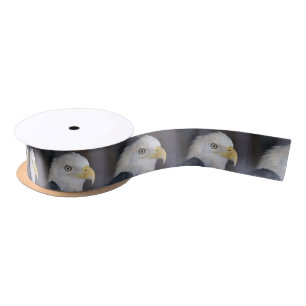 Eagle Lint