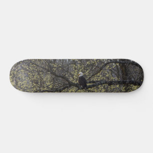 Eagle Lookout Schilderachtig Skateboard