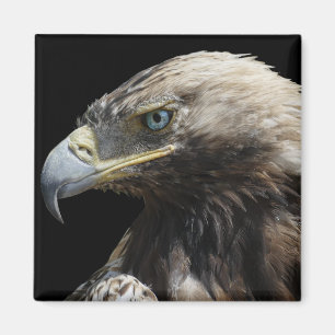 Eagle Magneet
