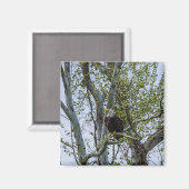Eagle Magneet (Voorkant / Achterkant)