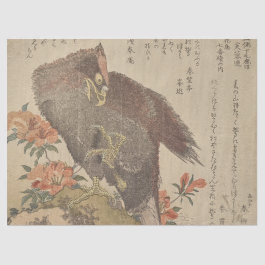 Eagle met een Struik van Shunman met een hooggepre Tissuepapier (Voorkant)