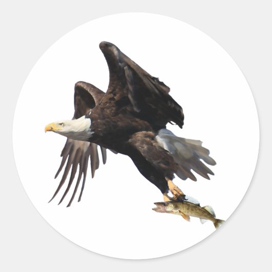 Eagle met vis ronde sticker (Voorkant)