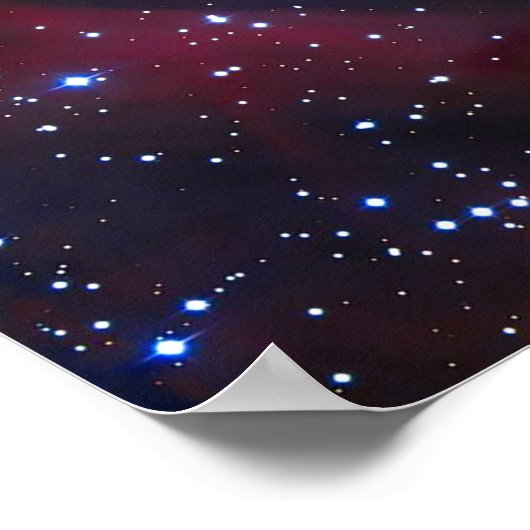 Eagle Nubla Poster (Hoek)