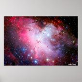 Eagle Nubla Poster (Voorkant)