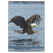 Eagle on Approach Klembord (Achterkant)